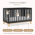 Delta Children Frankie 4 - in - 1 Convertible Crib - Greenguard Gold Certified, Black with Natural