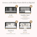 Delta Children Frankie 4 - in - 1 Convertible Crib - Greenguard Gold Certified, Black with Natural