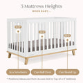 Delta Children Frankie 4 - in - 1 Convertible Crib - Greenguard Gold Certified, Black with Natural