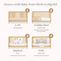 Delta Children Frankie 4 - in - 1 Convertible Crib - Greenguard Gold Certified, Black with Natural