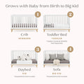 Delta Children Frankie 4 - in - 1 Convertible Crib - Greenguard Gold Certified, Black with Natural